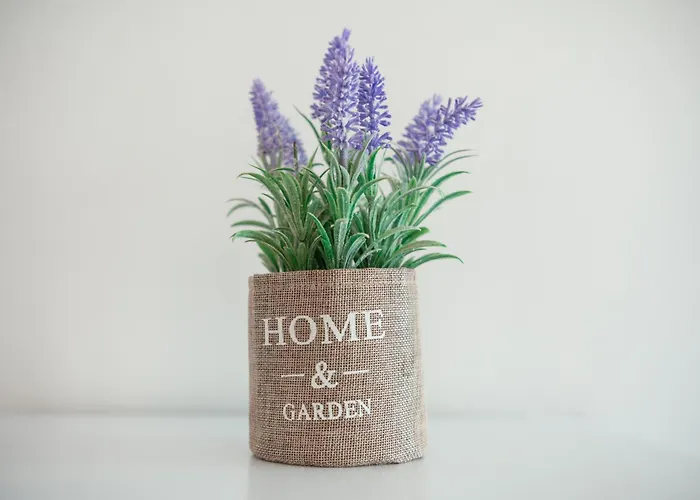 Appartement Mr. Sergio Ampavris