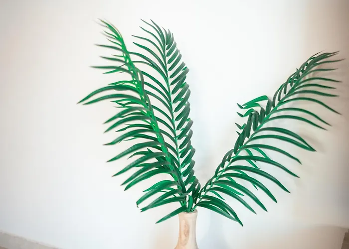 Apartament Mr. Sergio