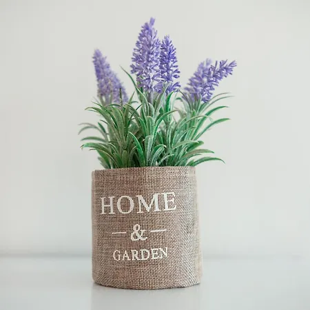 Apartamento Mr. Sergio Ampavris