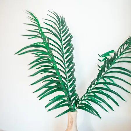 Apartment Mr. Sergio